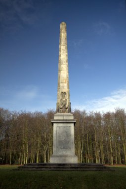 Dikilitaş van Rijswijk