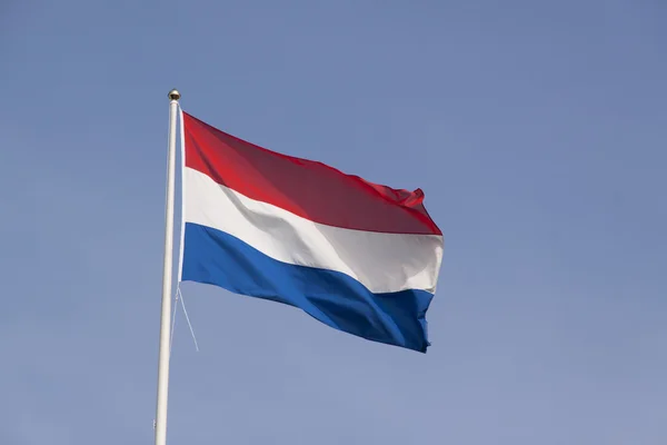 Nederländsk flagg i vind viftande — Stockfoto