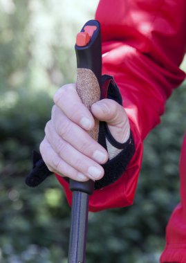 nordiq yürüyen kutup dik