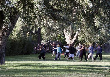 Tai chi ve yoga egzersizleri avignon, Fransa bir parkta yapan insanlar