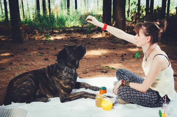 Kız onu büyük köpek besleme piknik açık. — Stok fotoğraf