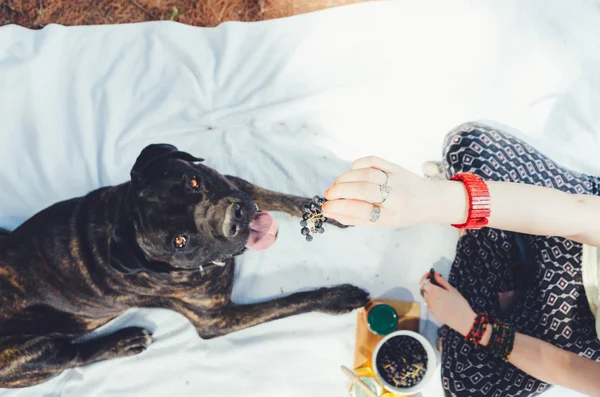 Kız onu büyük köpek besleme piknik açık. — Stok fotoğraf