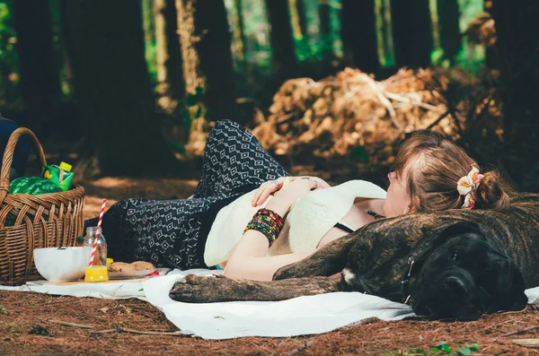 Kız büyük köpeğini yalan piknik açık. — Stok fotoğraf