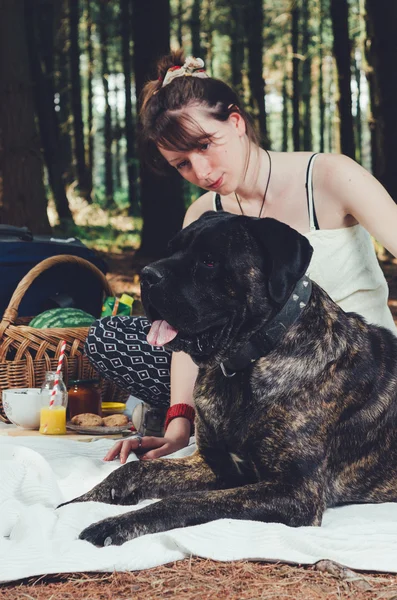 Piknik köpeği ile kız. — Stok fotoğraf