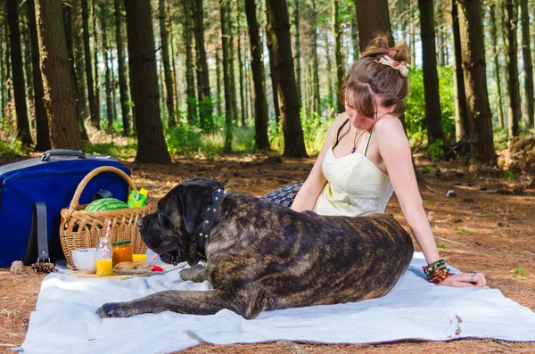 Piknik köpeği ile kız. — Stok fotoğraf