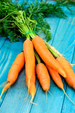 Renkli turkuaz mavi boyalı woode üzerinde taze havuç demet