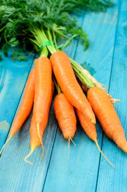 Renkli turkuaz mavi boyalı woode üzerinde taze havuç demet