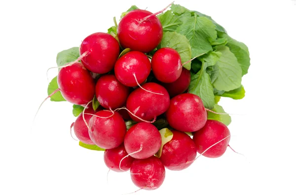 Group of  fresh radish with green leaves — Stock Photo, Image