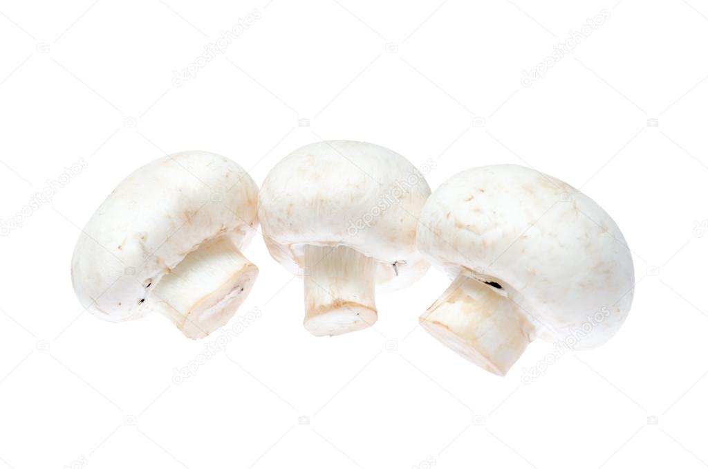 Three champignon mushrooms