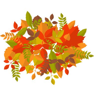 Renkli sonbahar yaprakları