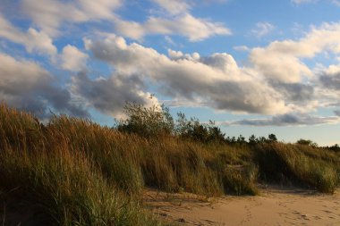 Kıyı, Riga Körfezi, Baltık Denizi