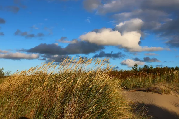 Coast Gulf Riga Baltic Sea — Stock Photo, Image