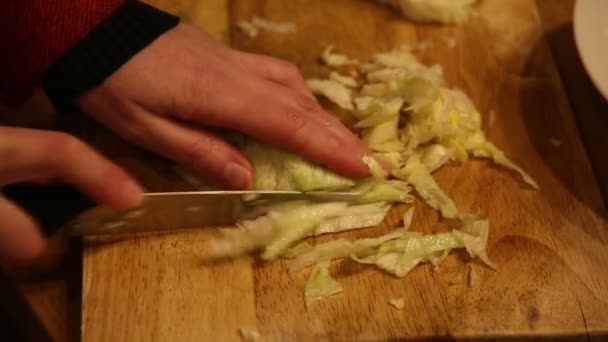 Skär vitkål med en kniv — Stockvideo