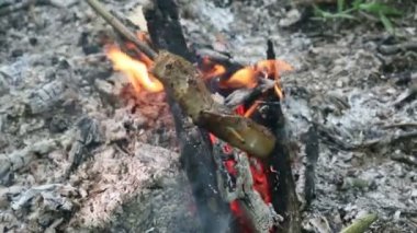 Yaz ormandaki şenlik ateşi yakar