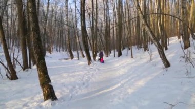 Kış orman, güneş, anne ve çocuk tarafından yürüyüşte yaktı