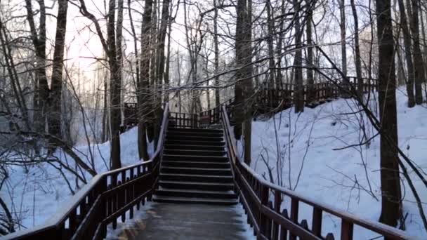 Forêt d'hiver éclairée par le soleil, escaliers dans la forêt — Video