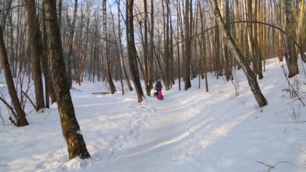 Floresta de inverno, iluminada pelo sol, mãe e crianças no passeio — Vídeo de Stock