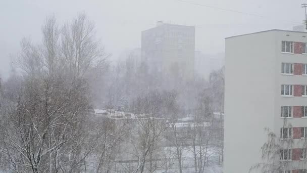 В городе идёт снег. — стоковое видео