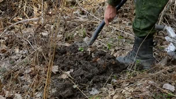 Búsqueda de tesoros, excavación de terreno — Vídeos de Stock