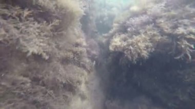 Deniz yatağı, su altında