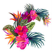 vector tropical bouquet