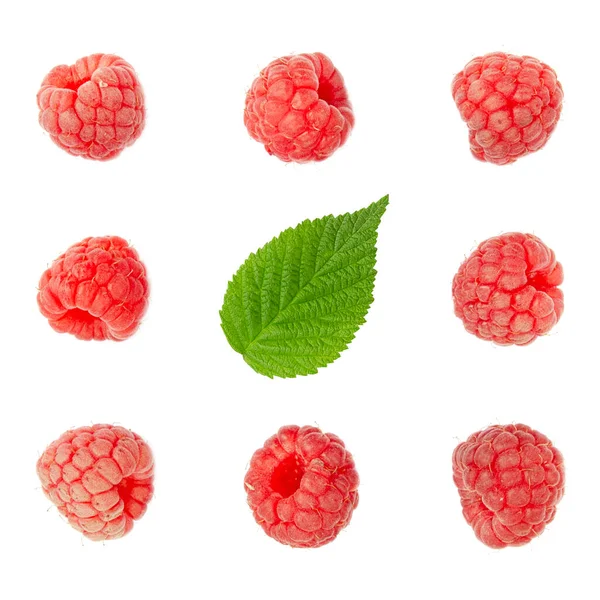 Ripe Raspberries Seamless Pattern Raspberries Isolated White Background Raspberry Collection Stock Image