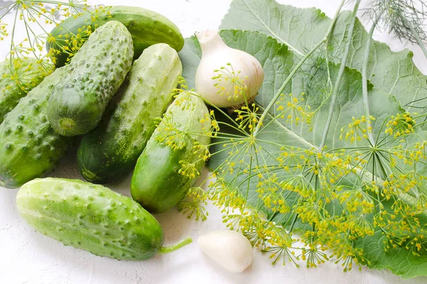 Preparing cucumbers for pickling. Preparation of cucumbers for pickling, greens for canning. Cucumbers with garlic, dill and horseradish leaves. — Stock Image Preparing Cucumbers Pickling Preparation Cucumbers Pickling Greens Canning Cucumbers Garlic Royalty Free Stock Images