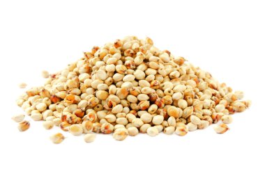 Beyaz arka planda izole edilmiş Sorghum tohumları. Beyaz arka planda Sorghum Moench. Sorghum tohumu yığını beyaz arka planda izole edilmiş. Tam tohum süpürge, darı, şeker süpürgesi, yem..