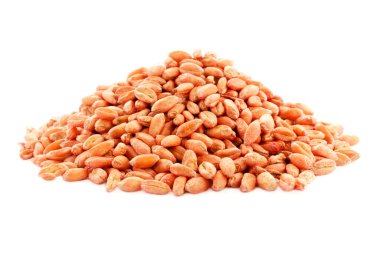 Buğday tohumları beyaza izole edilmiş, üst manzara. Böcek ilacıyla tedavi edilen buğday tohumları. Beyaz arka planda izole buğday taneleri, üst manzara. Bir yığın buğday tohumu. Beyaz arkaplanda triticum tahılı