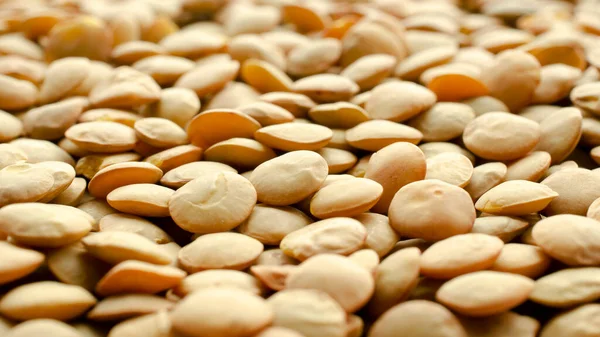 Yeşil mercimek taneciklerinin arka planı, üst manzara. Mercimek taneleri dokusu. Mercimek - arka plan, doku. Makro mercimek tohumu, üst görünüm.