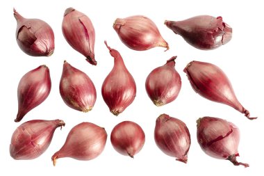 Kırmızı soğan seti beyaz arka planda izole edilmiş, üst manzara. Beyaz arka planda izole edilmiş taze kırmızı soğan, üst manzara. Pürüzsüz arka plan, kırmızı soğan, üst manzara. Beyaz arkaplanda kırmızı soğan.