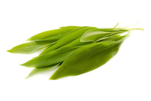 Färska gröna blad av vild vitlök isolerad på vit bakgrund, ovanifrån, kopiera utrymme för text. Allium ursinum, känd som vild vitlök, ovanifrån. Ramson blad isolerad på vit bakgrund, ovanifrån. — Stockfoto