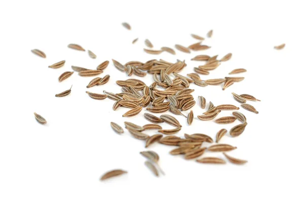 Micro fennel Pictures, Micro fennel Stock Photos u0026 Images