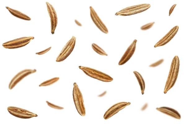 Falling caraway seeds isolated on a white background, top view. Cumin seeds in the air on a white background. Set of cumin seeds in the air. Caraway grains isolated on white background. — Stock Photo, Image