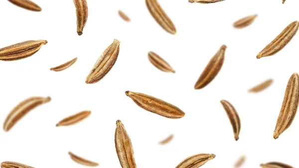 Caindo sementes de alcaravia isolado em um fundo branco, vista superior. Coma sementes no ar em um fundo branco. Conjunto de sementes de cominho no ar. Grãos de alcaravia isolados sobre fundo branco. — Fotografia de Stock