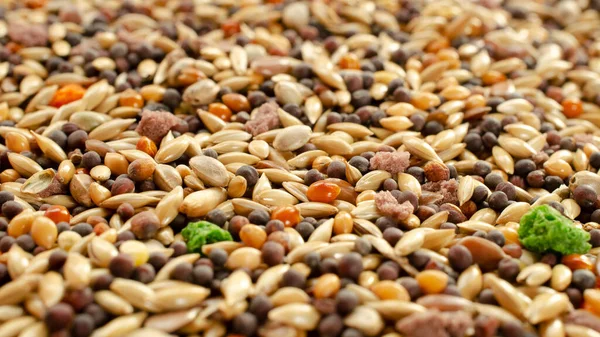 Food for canaries, parrots, finches, texture, background, top view. Mixed seeds for bird feeding. Food for exotic birds, texture, top view. Mix for feeding canaries, parrots. Background for the label.