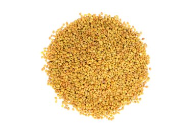 Melilotus officinalis tohumları beyaz arka planda izole edilmiş, üst manzara. Beyaz arka planda izole edilmiş tatlı yonca tohumları yığını. Tatlı yonca sarısı tohumları, beyaz arka planda izole edilmiş beyaz, üst manzara.
