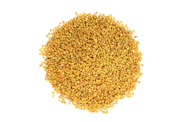 Melilotus officinalis tohumları beyaz arka planda izole edilmiş, üst manzara. Beyaz arka planda izole edilmiş tatlı yonca tohumları yığını. Tatlı yonca sarısı tohumları, beyaz arka planda izole edilmiş beyaz, üst manzara.