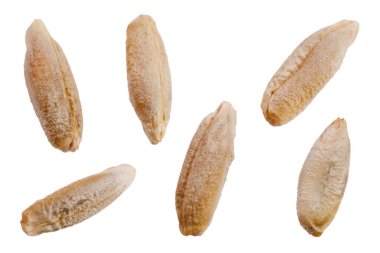 Çavdar tohumları beyaz, üst görünümde, makroda izole edilir. Çavdar tohumları beyaz arka planda izole edilmiş, yakın plan. Beyaz arka planda çavdar viskisi taneleri. Beyaz arkaplanda izole edilmiş çavdar taneleri kümesi.