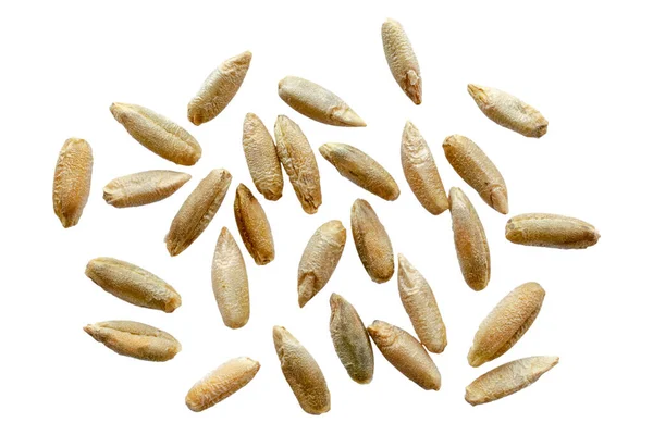 Rye seeds are isolated on white, top view, macro. Rye seeds isolated on a white background, close-up. Grains of rye malt on a white background. Set of rye grains isolated on white background. — Stock Photo, Image