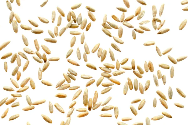 Rye seeds are isolated on white, top view, macro. Rye seeds isolated on a white background, close-up. Grains of rye malt on a white background. Set of rye grains isolated on white background. — Stock Photo, Image