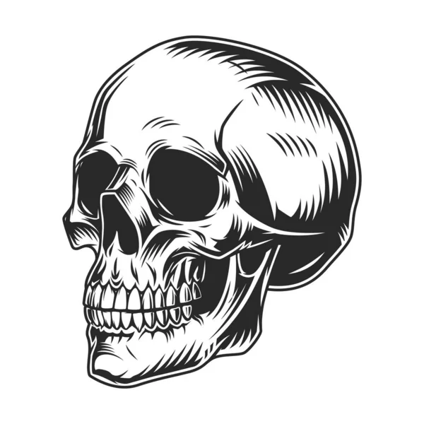 Vintage human skull monochrome concept in half turn position isolated vector illustration — Stock Illustration Vintage Human Skull Monochrome Concept Half Turn Position Isolated Vector Vector Graphics