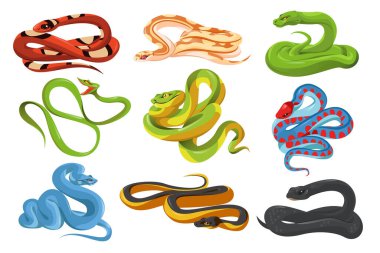 Snakes, tropical serpents isolated on white background. Black mamba, scarlet milk snake, california red-sided garter, green tree python, trimeresurus salazar and blue insularis. Vector cartoon set vector Snakes, tropical serpents isolated on white background. Black mamba, scarlet milk snake, california red-sided garter, green tree python, trimeresurus salazar and blue insularis. Vector cartoon set vector