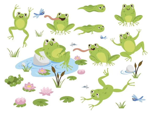 Kaulquappe Lachelnd Vector Art Stock Images Depositphotos