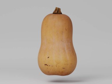 Renkli arkaplanda kabak resmi, 3 boyutlu illüstrasyon