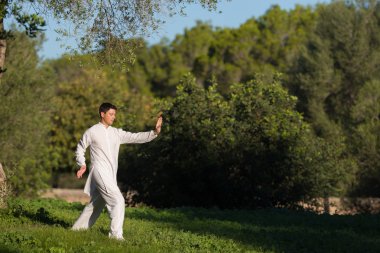 Tai Chi parkta yapan genç erkek