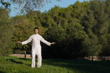 Tai Chi parkta yapan beyaz erkek
