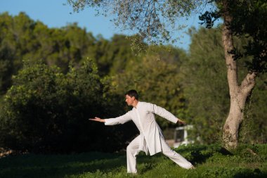 Tai-Chi parkta pratik beyaz giyimli adam