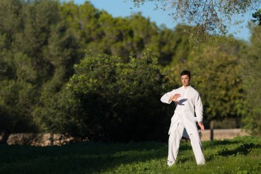 Tai-Chi parkta pratik adam