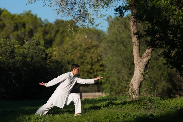 Beyaz delikanlı Tai-Chi açık havada parkta pratik — Stok fotoğraf